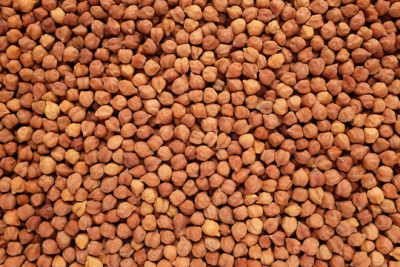 கருப்பு சுண்டல் / கொண்டைகடலை - Karuppu Sundal / Kondaikadalai - Black ChickPeas